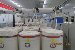 漢麻產(chǎn)業(yè)化關(guān)鍵技術(shù)及應(yīng)用推廣活動成功舉行，助力產(chǎn)業(yè)高質(zhì)量發(fā)展