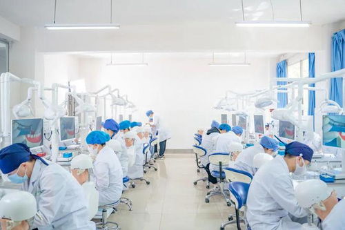 醫藥初印象 一起揭秘云醫藥的實驗室與醫藥教學器材