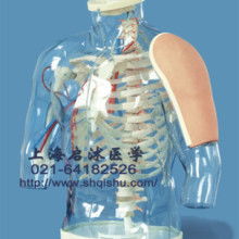 2019年醫藥教學器材價格與批發行情分析 第40頁關注要點